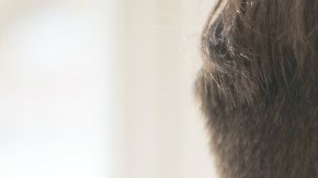 Mejorar la vida sexual de una relación de pareja