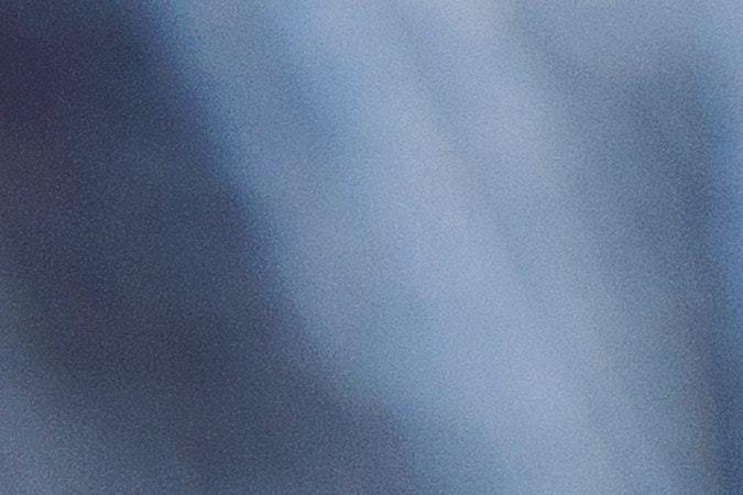 Dietas veganas para perros