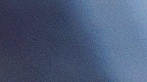 Dietas veganas para perros