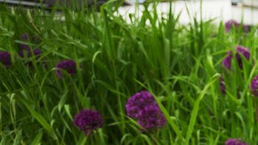 cuidado de tu piel en primavera y verano