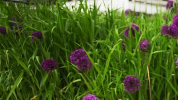 cuidado de tu piel en primavera y verano