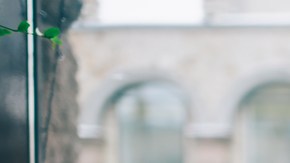 Procrastinación técnicas