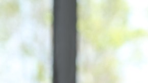 razones por la que una persona revisa el celular de su pareja