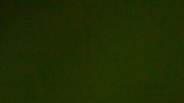 Cómo preparar té de orégano, canela y laurel para reducir el colesterol