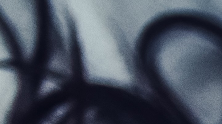 El tiempo "perfecto" de un acto sexual, según estudios