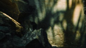 Ritual con canela en el zapato