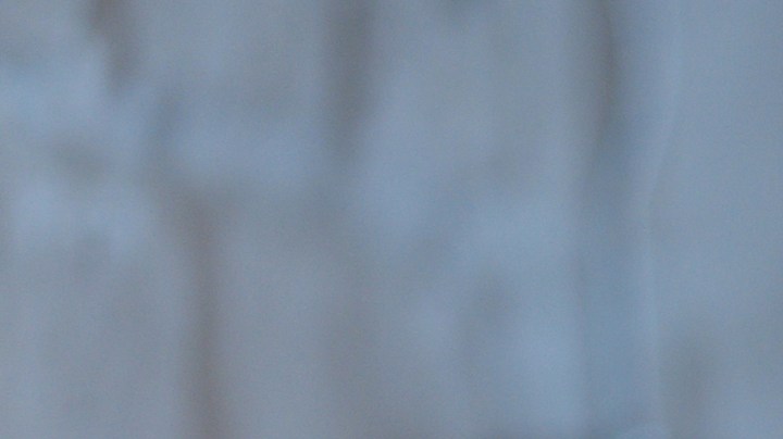 En qué consiste el "baño de los 9 cítricos".