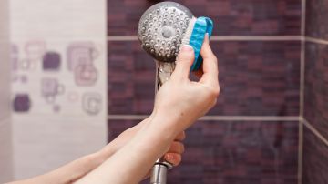 Cómo debes limpiar el cabezal de la ducha para dejarlo completamente limpio.