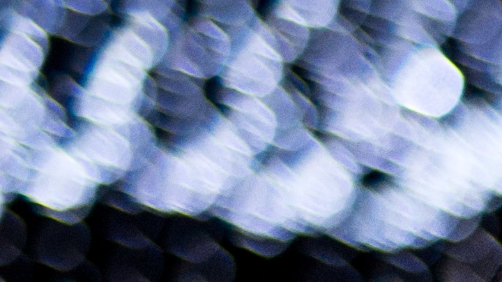 Cómo reconectarte con tu pareja a través una salida nocturna para caminar.