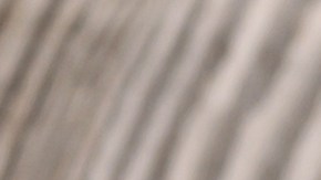 Qué objetos debes botar de casa por riesgo de accidentes e intoxicaciones.