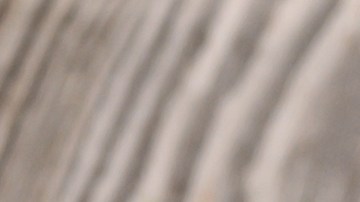 Qué objetos debes botar de casa por riesgo de accidentes e intoxicaciones.