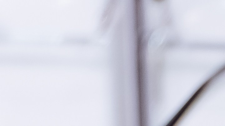 Detalles sutiles que te vuelven más atractivo.