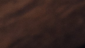 Cómo lavar tu ropa con hojas de laurel y eliminar los malos olores.