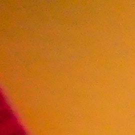 tamaño del miembro el reposo