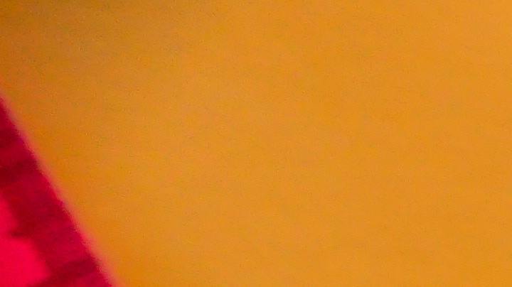 tamaño del miembro el reposo