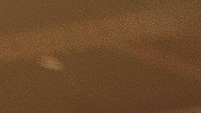 SOP disruptores hormonales