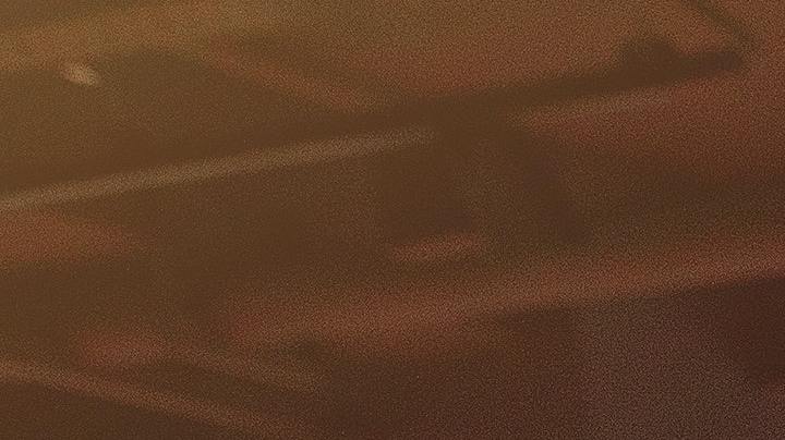 SOP disruptores hormonales