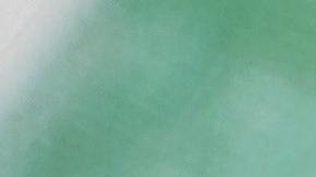 vinagretas sencillas