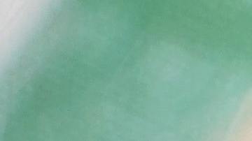 vinagretas sencillas