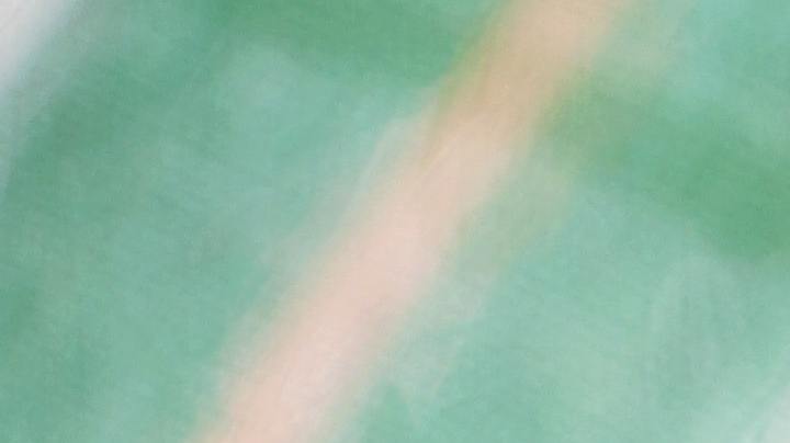 vinagretas sencillas