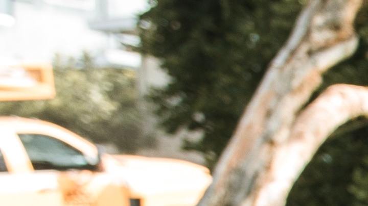 Debo ver a mi expareja herramientas para lidiar