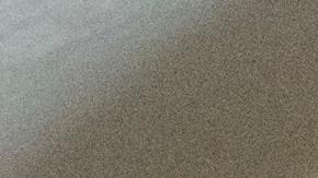 barrer los pelos de tu mascota