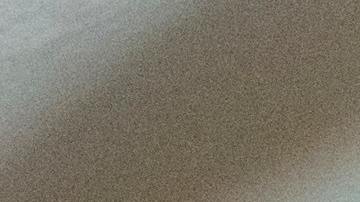 barrer los pelos de tu mascota