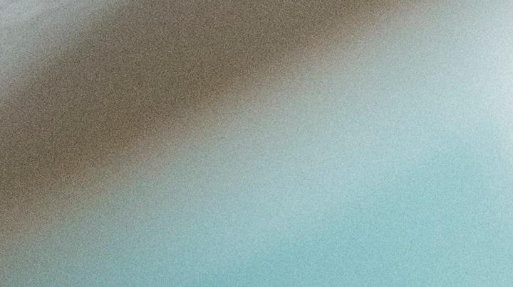 barrer los pelos de tu mascota