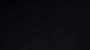 repelentes caseros naturales contra las hormigas