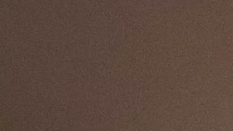 repelente casero contra moscas, mosquitos y cucarachas