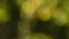 Saber si tu relación va a durar: 10 preguntas de un experto