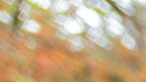 Ritual persona que te cae mal se aleje de ti