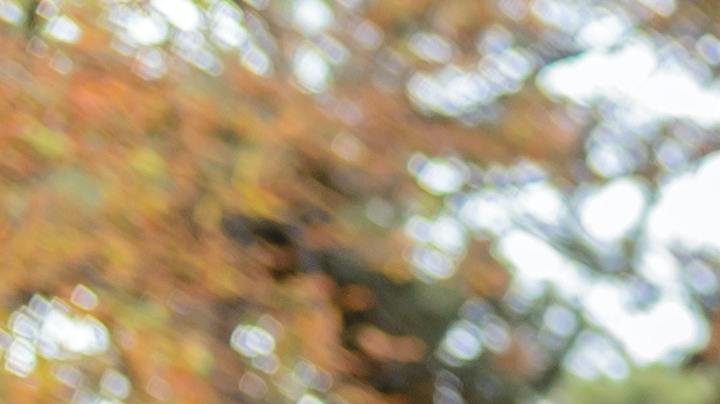 Ritual persona que te cae mal se aleje de ti