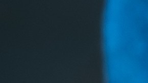 La mezcla de laurel y bicarbonato es una solución natural, económica y accesible.