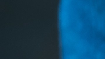 La mezcla de laurel y bicarbonato es una solución natural, económica y accesible.