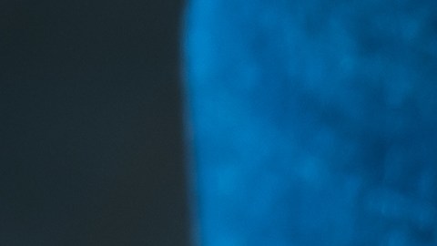 La mezcla de laurel y bicarbonato es una solución natural, económica y accesible.