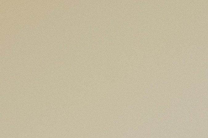 Trucos para quitar los pelos de perro y gato de tu ropa.