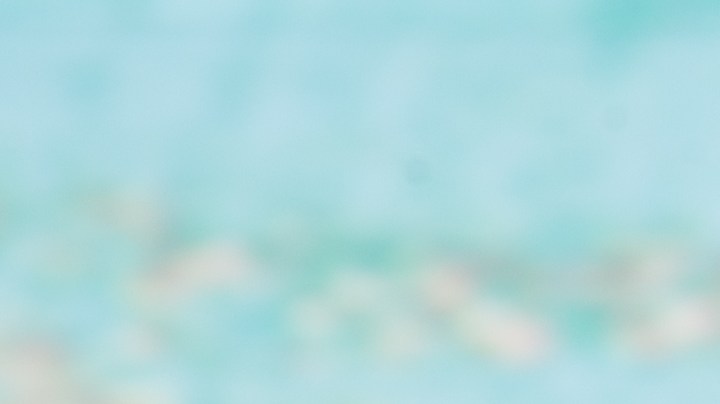 Ritual con hojas de laurel para convertirte en un "imán para el dinero".