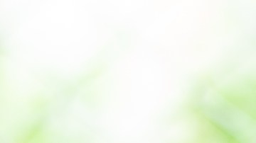 Precauciones para tener un pitbull en casa