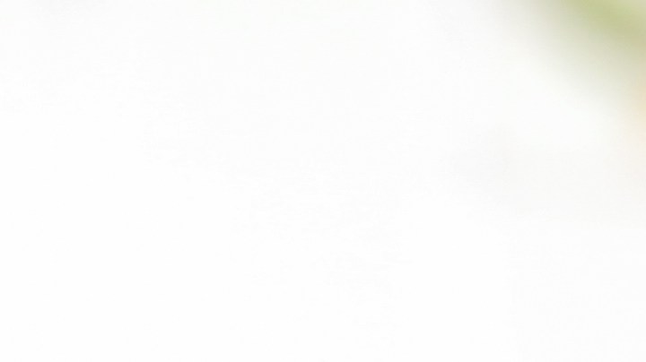 Qué alimentos nunca debes calentar en el microondas y por qué.