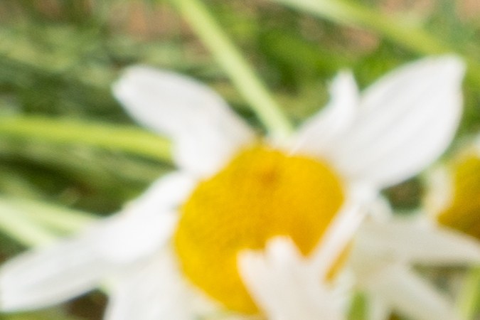 Qué bebidas puedes tomar para ayudarte a dormir.