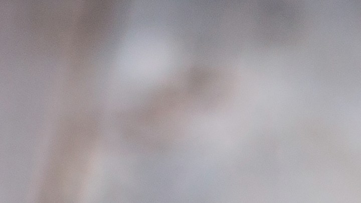 Cuáles son los beneficios de comer berenjena.