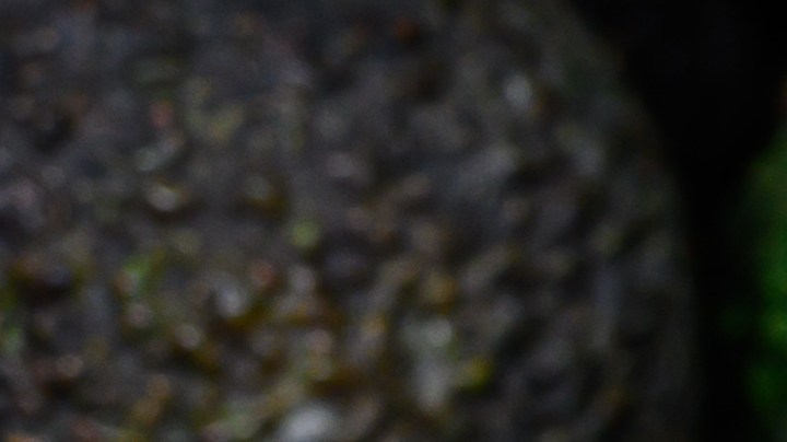 Trucos para elegir los mejores aguacates.