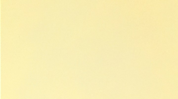 Remedios caseros para quitar un panal de abejas.