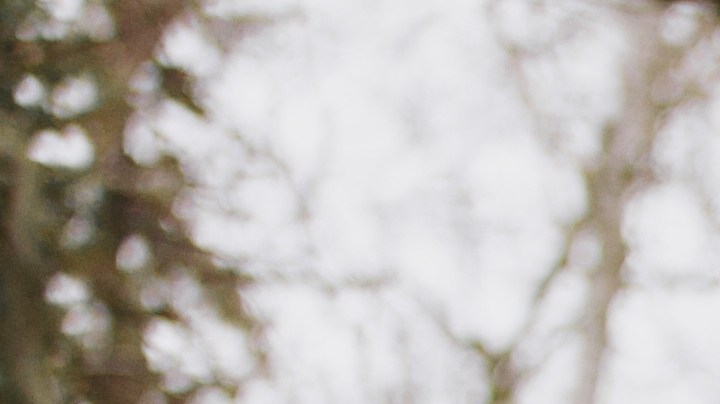 Cosas que jamás debes hacer en un cementerio.