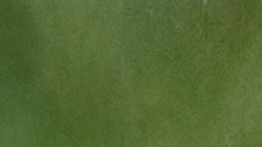 Remedios caseros para limpiar una parrillera.