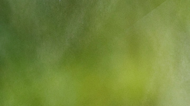 Remedios caseros para limpiar una parrillera.