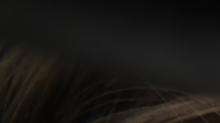 Cuáles son los objetos que nunca debes guardar debajo de tu cama.