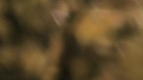 Cosas que deberías saber de tu pareja