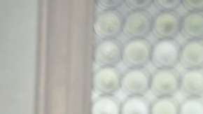 hábitos "saludables" que en realidad ralentizan tu metabolismo